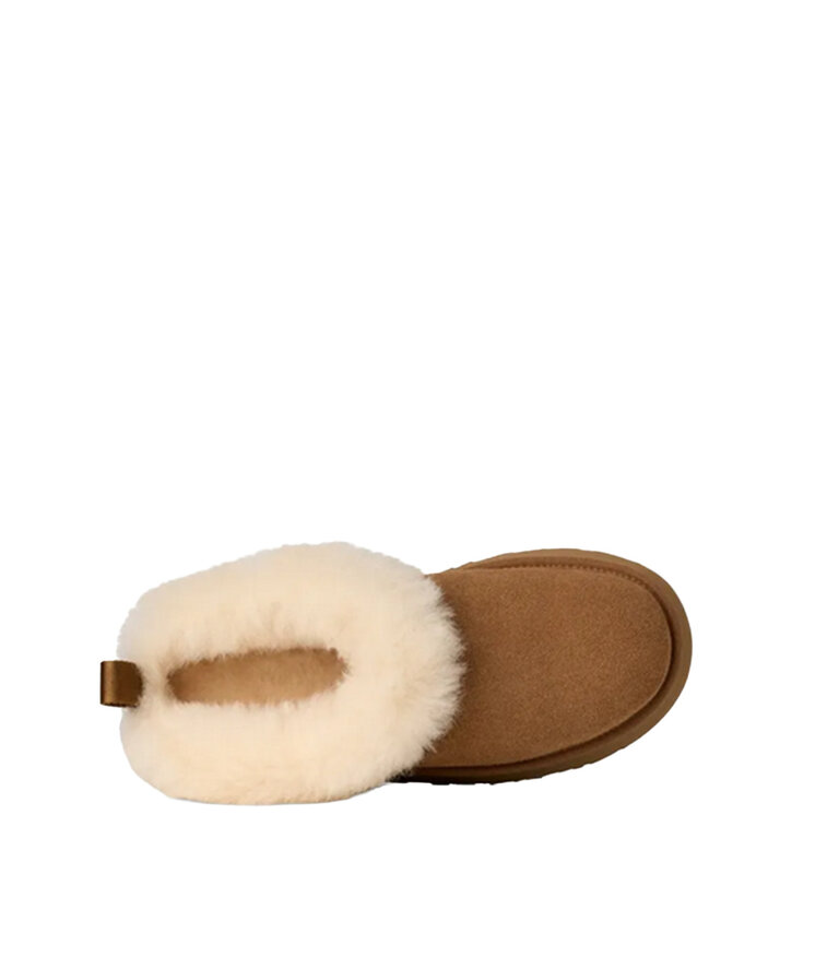 UGG Femmes Tazzelle Noisette