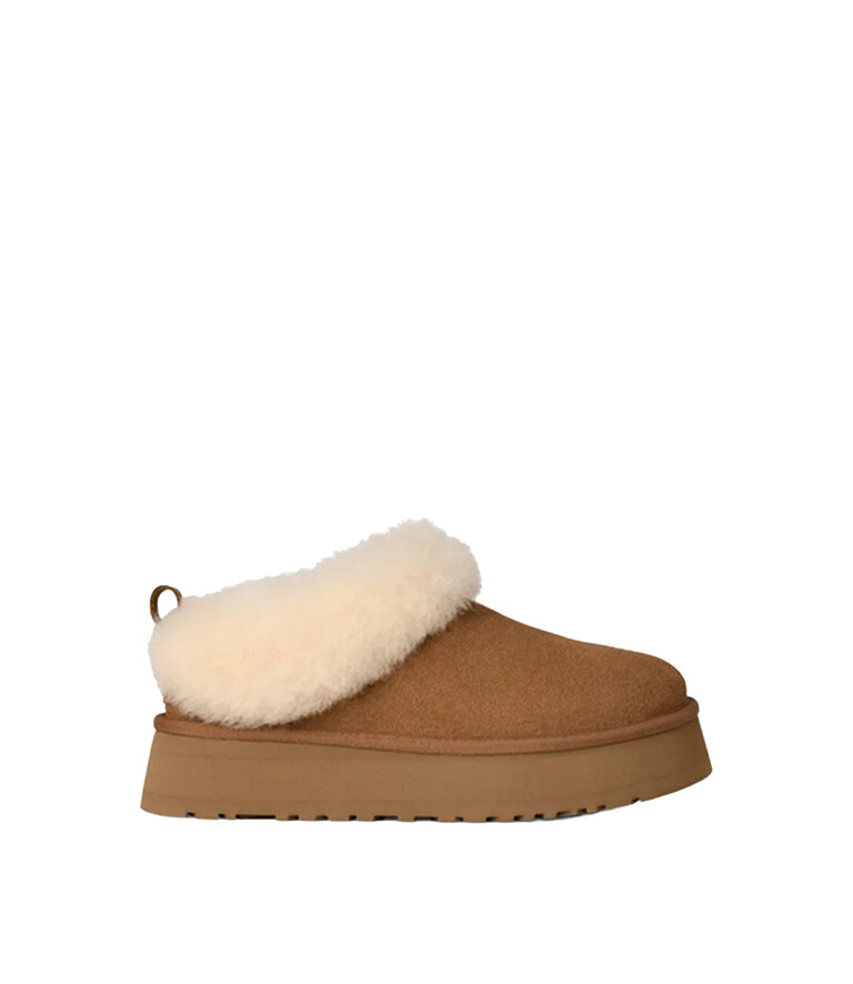 UGG Femmes Tazzelle Noisette