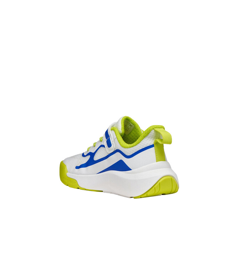 GEOX Kid's- Pro- Ran White / Royal Blue