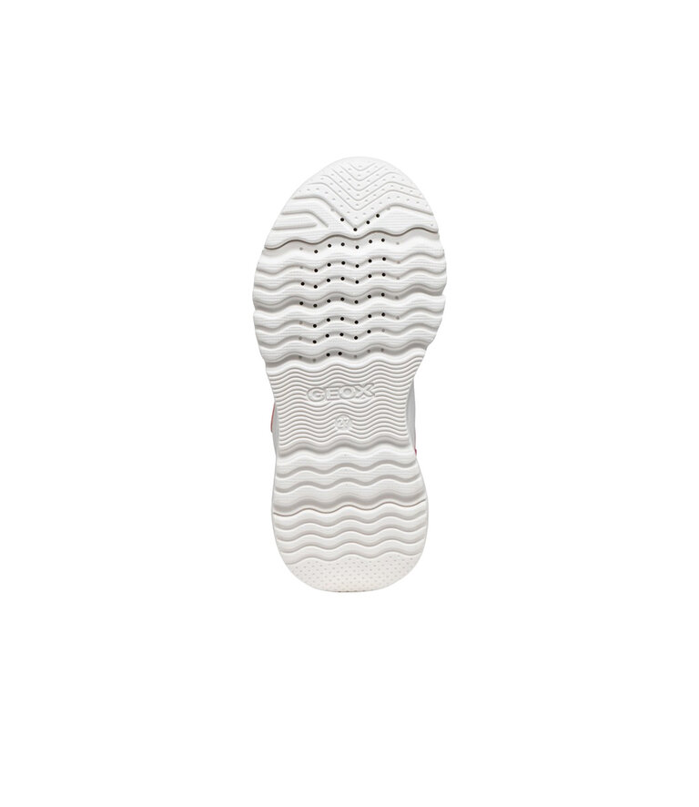 GEOX Enfants - Loftus Saumon/Blanc