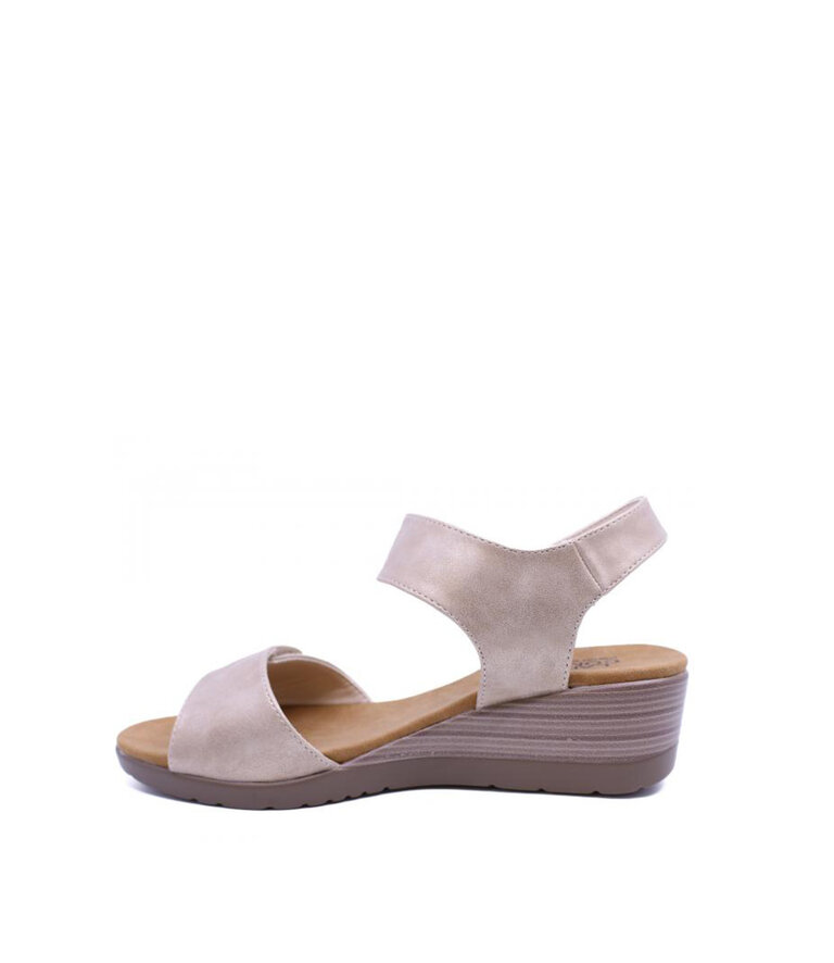 TAXI Women's - Debbie-03 Champagne