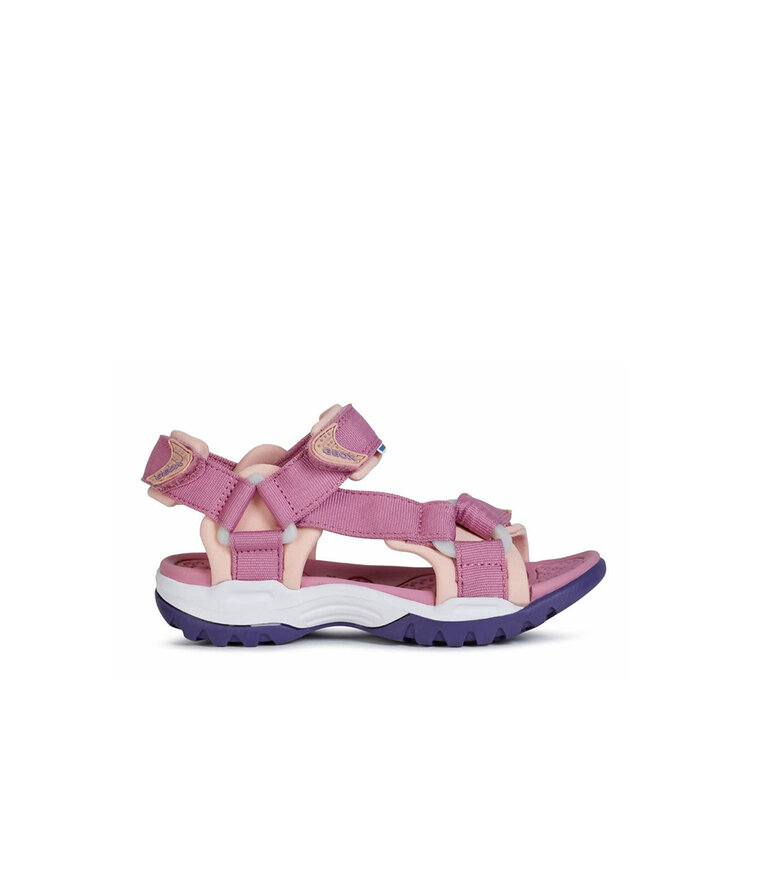GEOX BOREALIS  Rose