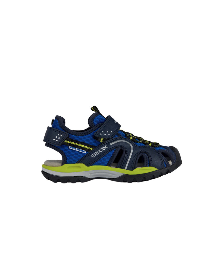 GEOX BOREALIS ROYAL BLUE  / LIME