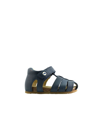 FALCOTTO Alby  Blue