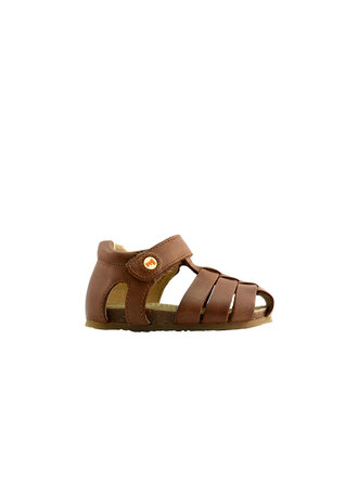 FALCOTTO Alby Tan