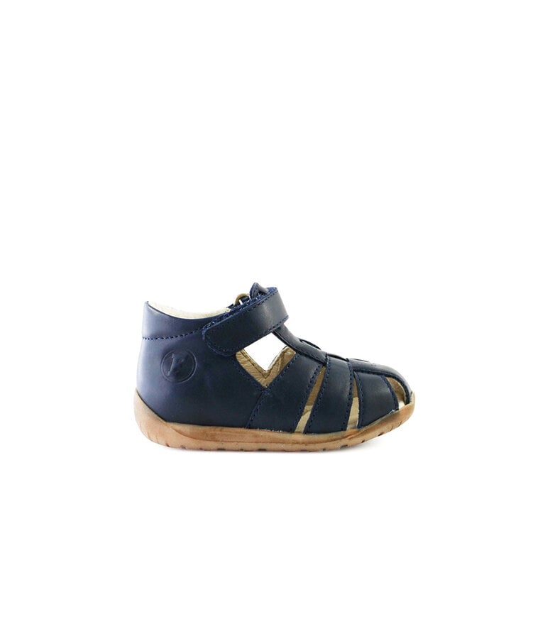 FALCOTTO  LIVINGSTON MARINE