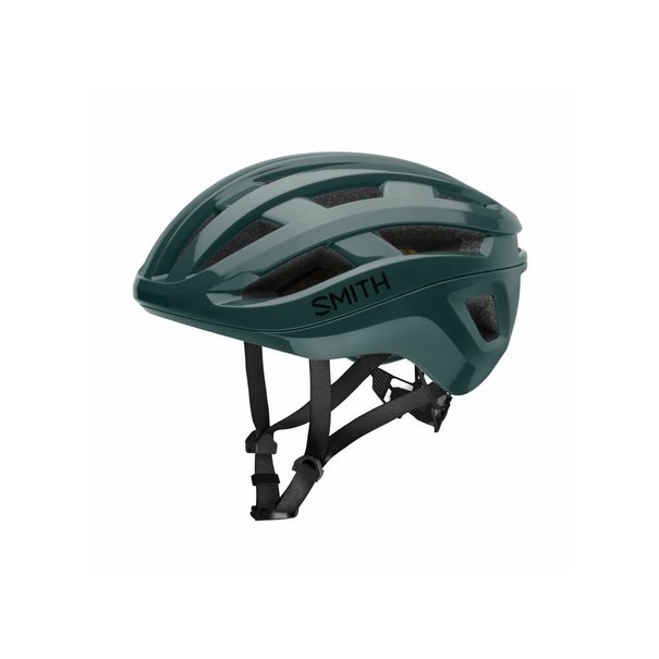 Smith Optics Persist MIPS Helmet