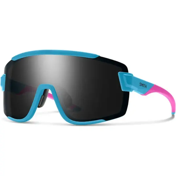Smith Optics Wildcat Glasses