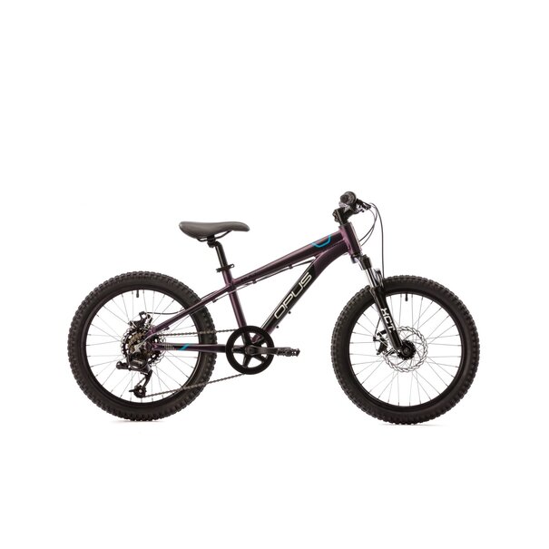 20 mountain bike for sale sale