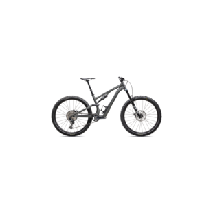 Stumpjumper 15 Comp Alloy