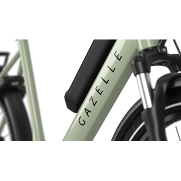 Gazelle Medeo T9 City