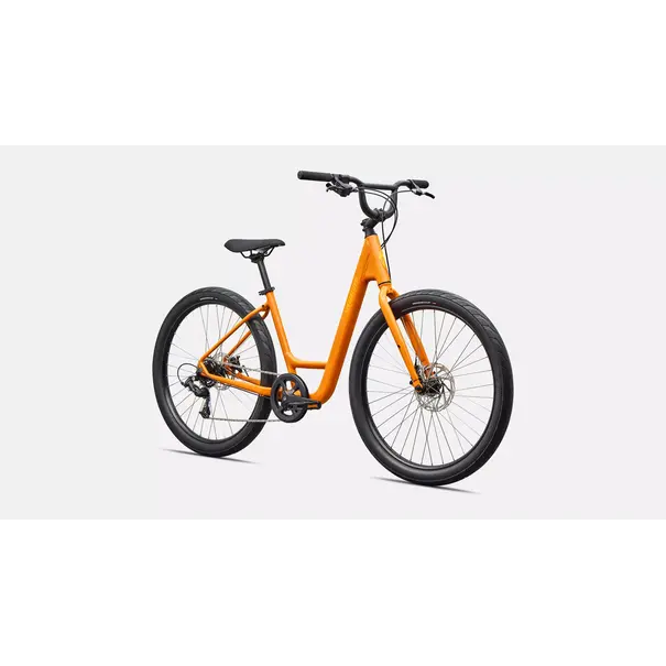 Specialized Roll 2.0 Low Entry