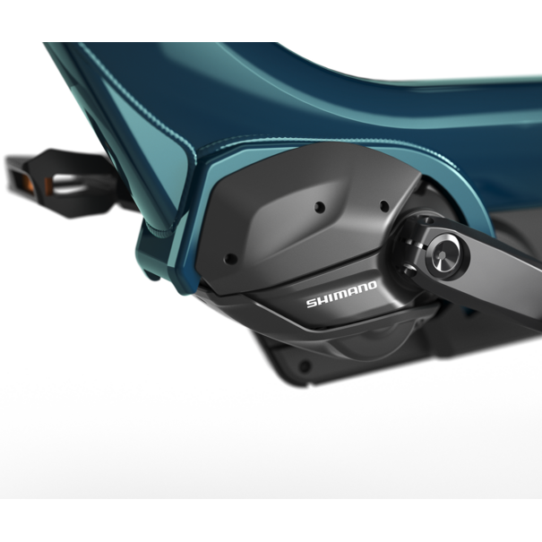 Gazelle Gazelle Easyflow - Pine Green