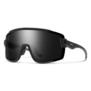 Bobcat Glasses