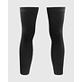 Spring Fall Leg Warmers P1