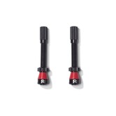 Fillmore Tubeless Valve, Presta, Black, Pair