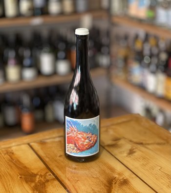 Regis et Sylvain, Une Cuvée d'Amitié Sauvignon Blanc Biodynamique