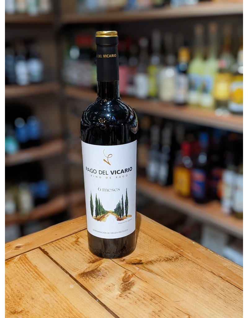 Pago del Vicario 6 Meses
