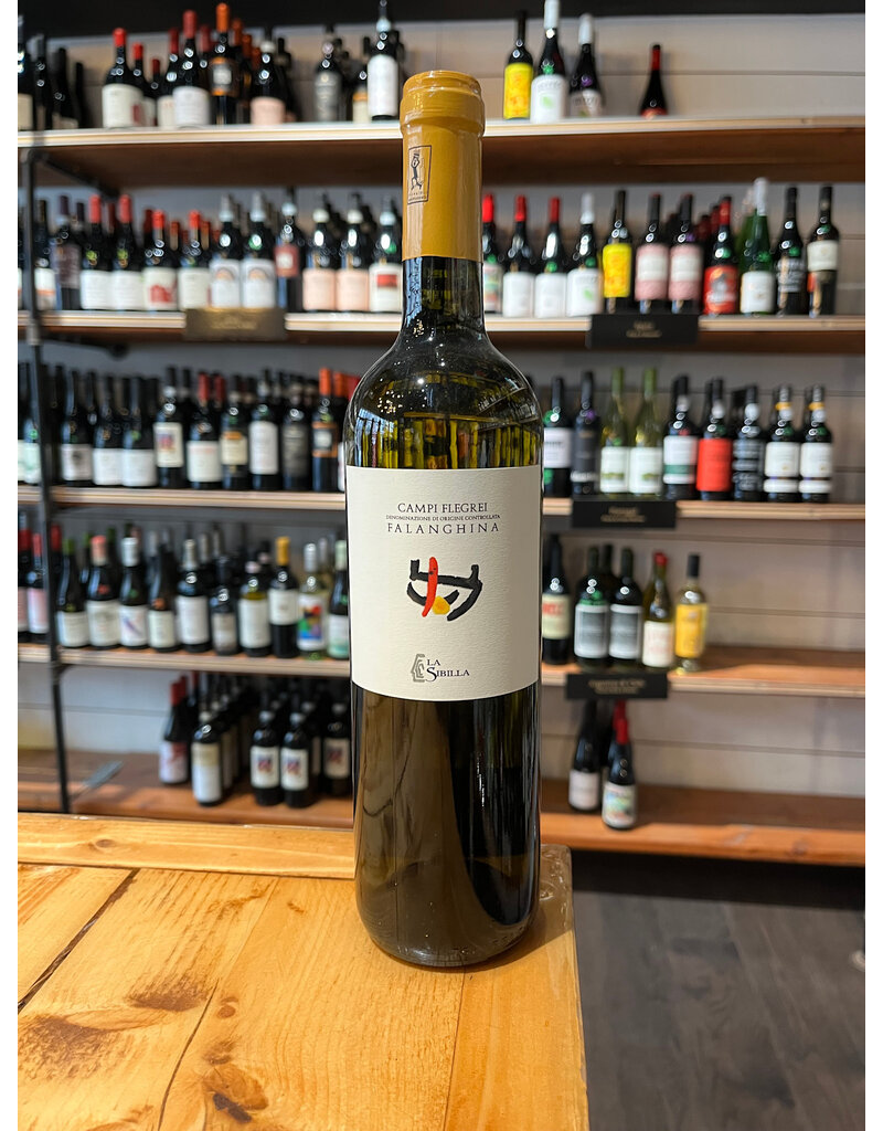 Campi Flegrei Falanghina