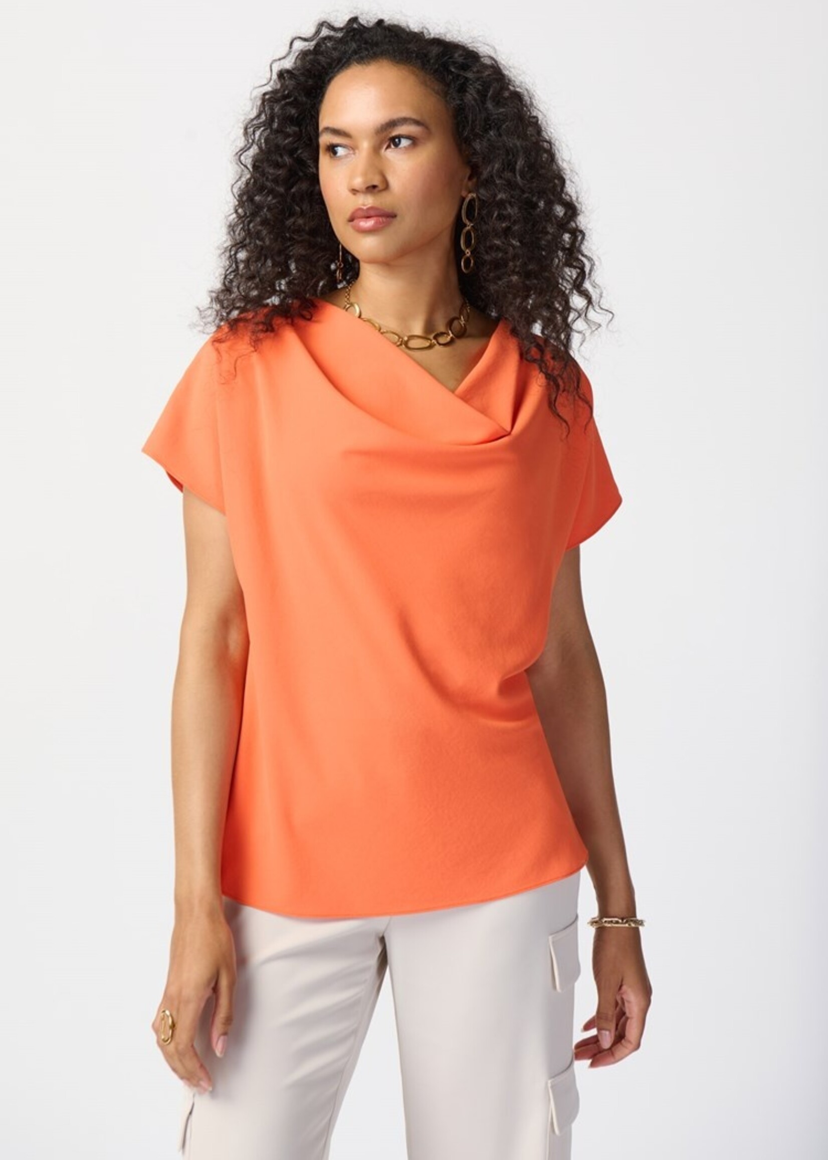 Joseph Ribkoff Top 241099 - Addicted Chic