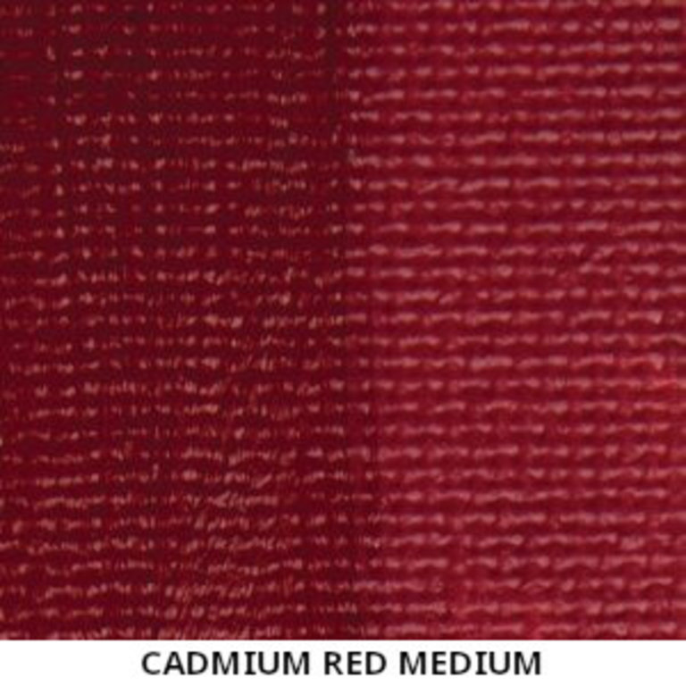 Shop Natural Pigments - Cadmium Medium Light, Rublev Colours Cadmium Yellow  Medium Oil Paint