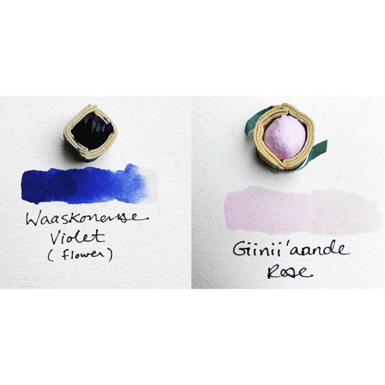 BEAMPAINTS Beam Regular Paintstones Singles
