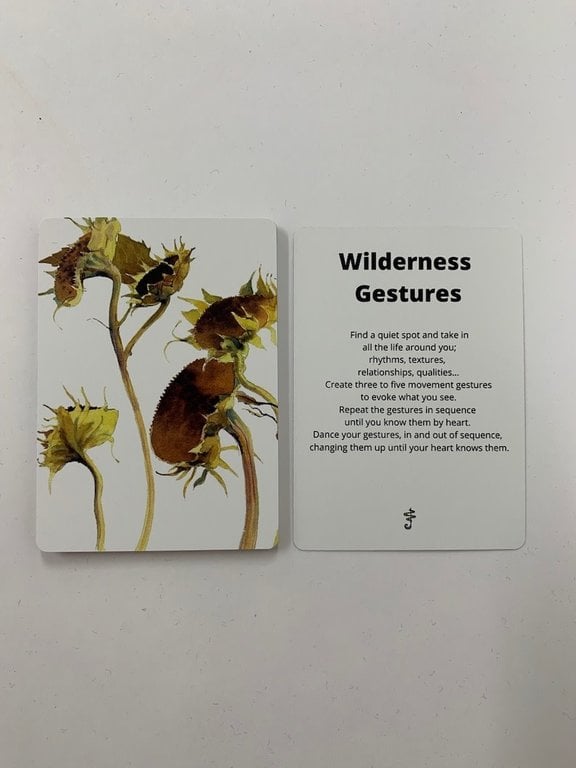 Aitken/Aplin Nature Conversation Starters - Prompt Cards