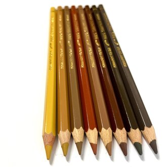 Caran d'Ache Earth Tone Caran d'Ache Pablo Pencil Singles