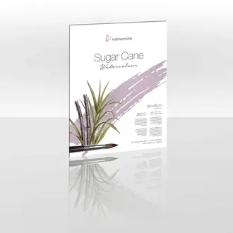Hahnemuhle Sugar Cane Watercolour Block - 12 Sheets