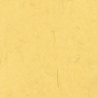 The Japanese Paper Place Tatami 50g - 25"x37"