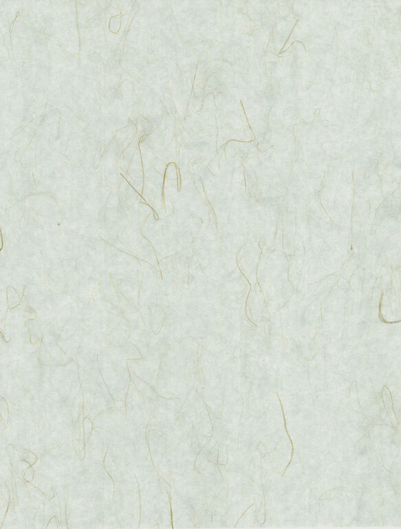 The Japanese Paper Place Tatami