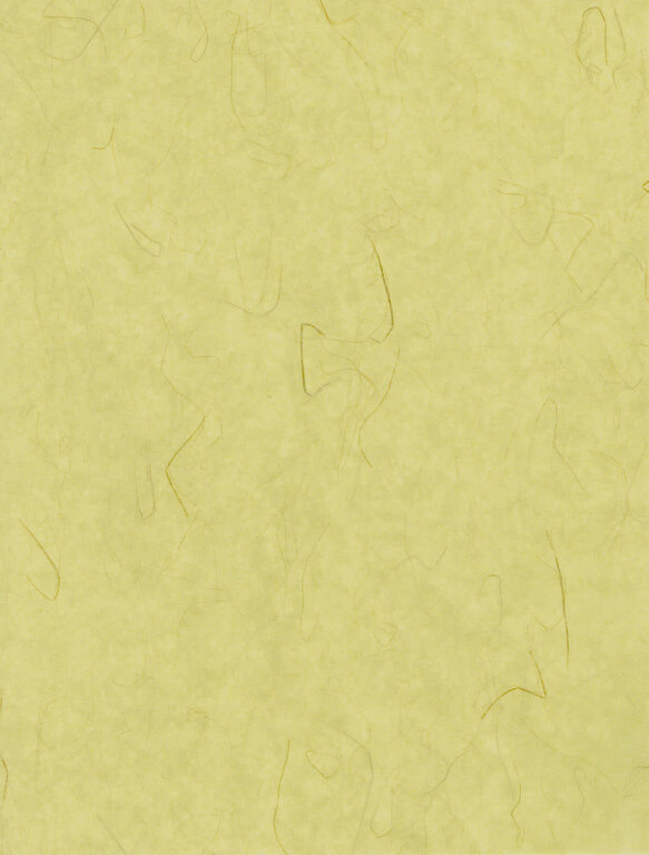 The Japanese Paper Place Tatami 50g - 25"x37"