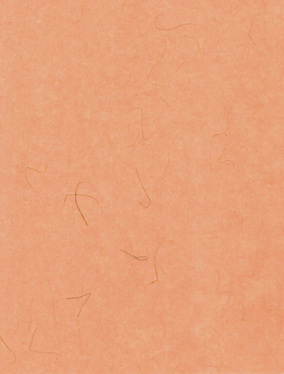 The Japanese Paper Place Tatami 50g - 25"x37"