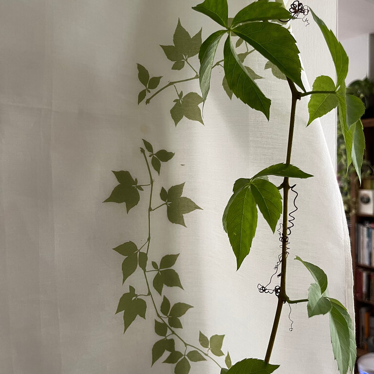 ARTiculations Printing with Plants |October 19th, 10:30-3:30pm