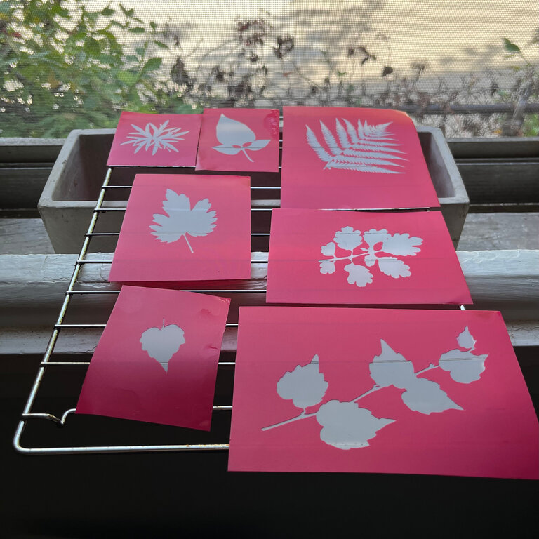 ARTiculations Printing with Plants |October 19th, 10:30-3:30pm