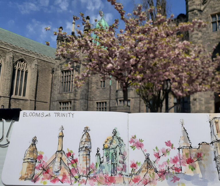 ARTiculations Sketching is Fine with Continuous Lines | November 22, 10am-1pm