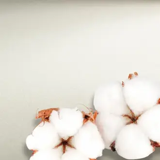 Hahnemuhle Collection Watercolour Sheet (300gsm) - 56 x 76 cm