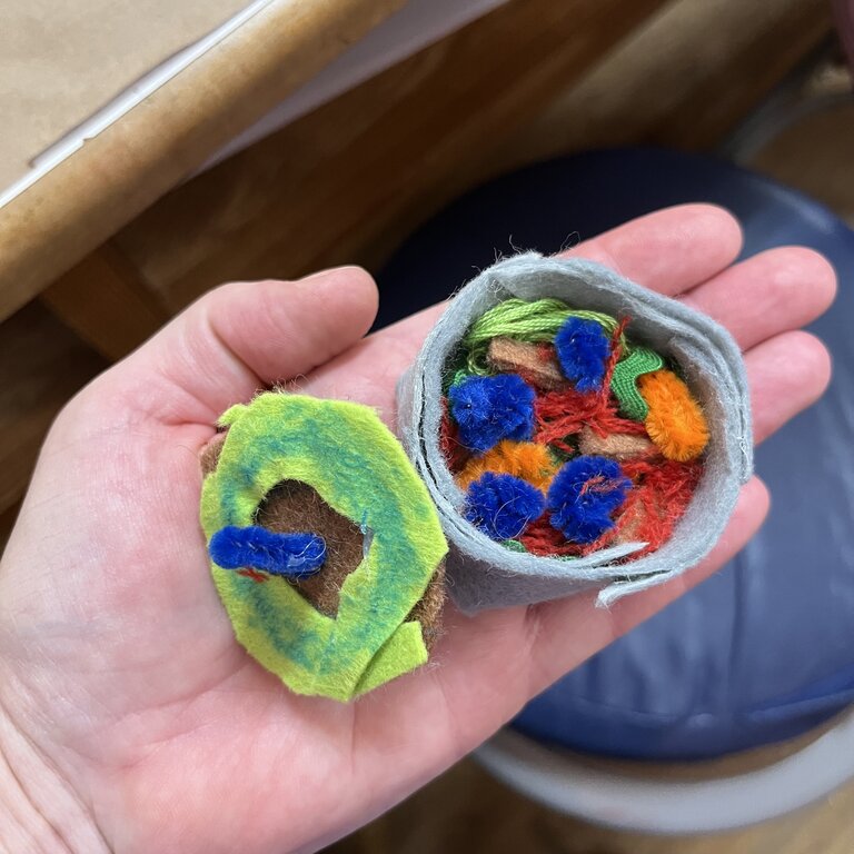 ARTiculations Soft Sculpture Snacks: Adult & Youth (8 yrs +) | Feb 15