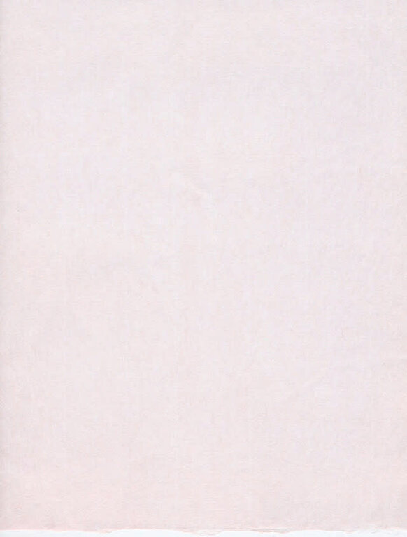 The Japanese Paper Place Kizuki Somegami 18g - 25"x38"