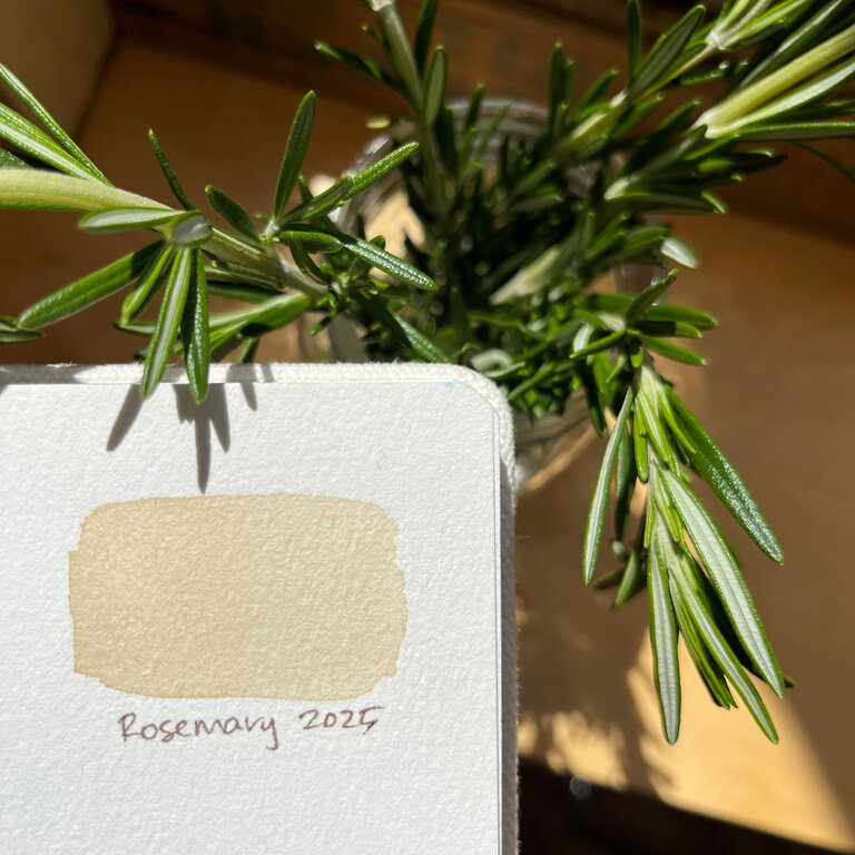 Making Ink From Plants | May 28, 6:30-9:30pm