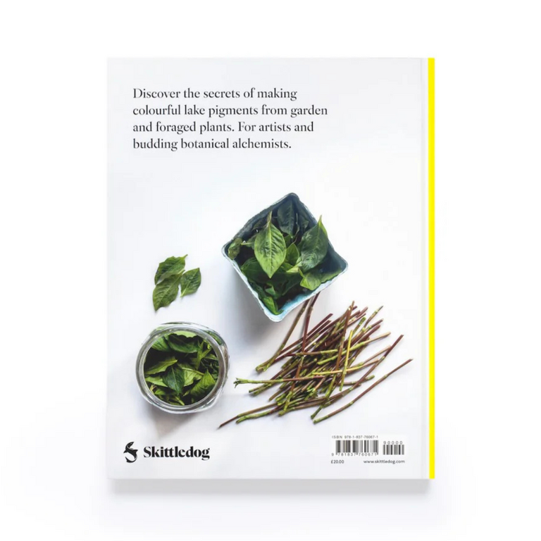 From Plant to Pigment: How to Make Your Own Vibrant Inks, Pastels, and Paints by Natalie Stopka