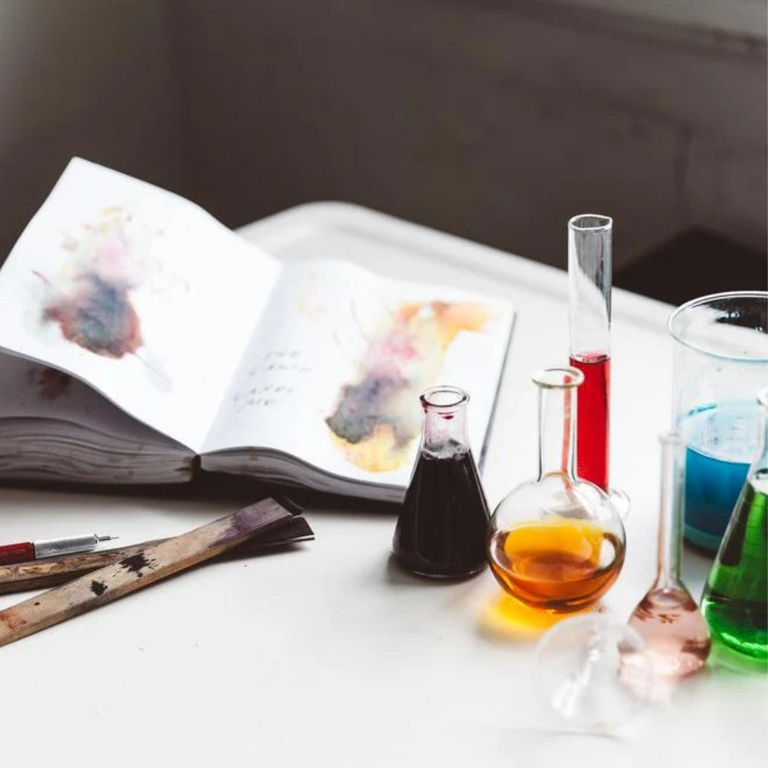 Make Ink: A Forager's Guide to Natural Inkmaking by Jason Logan