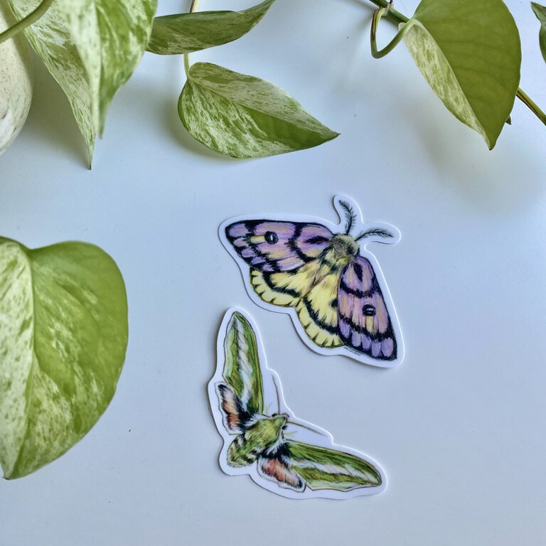 Megan Bray Sticker