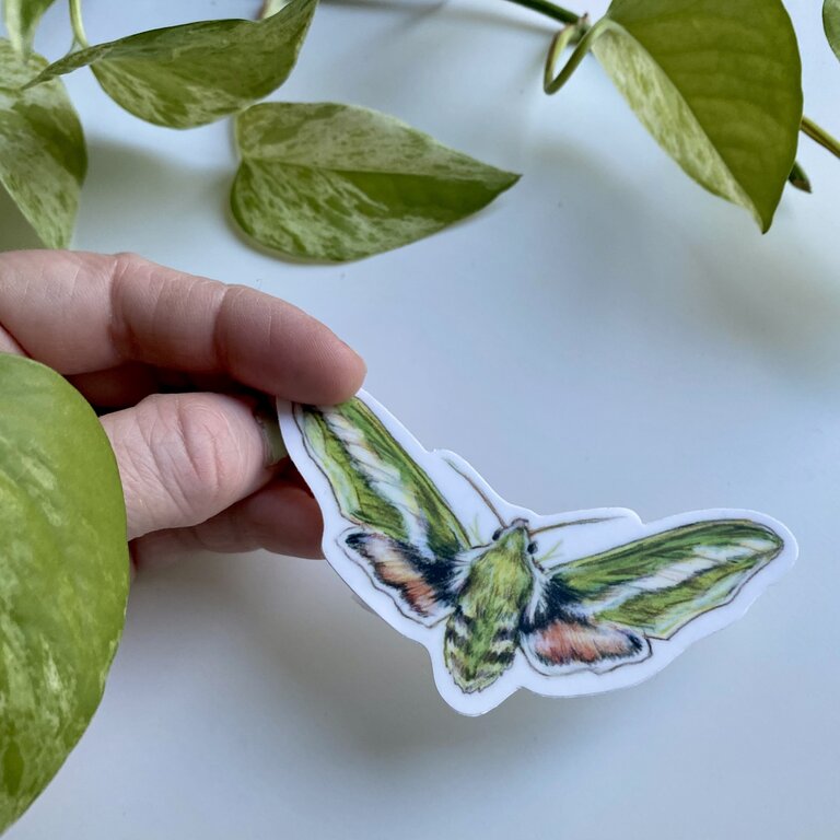 Megan Bray Sticker