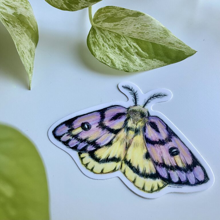 Megan Bray Sticker