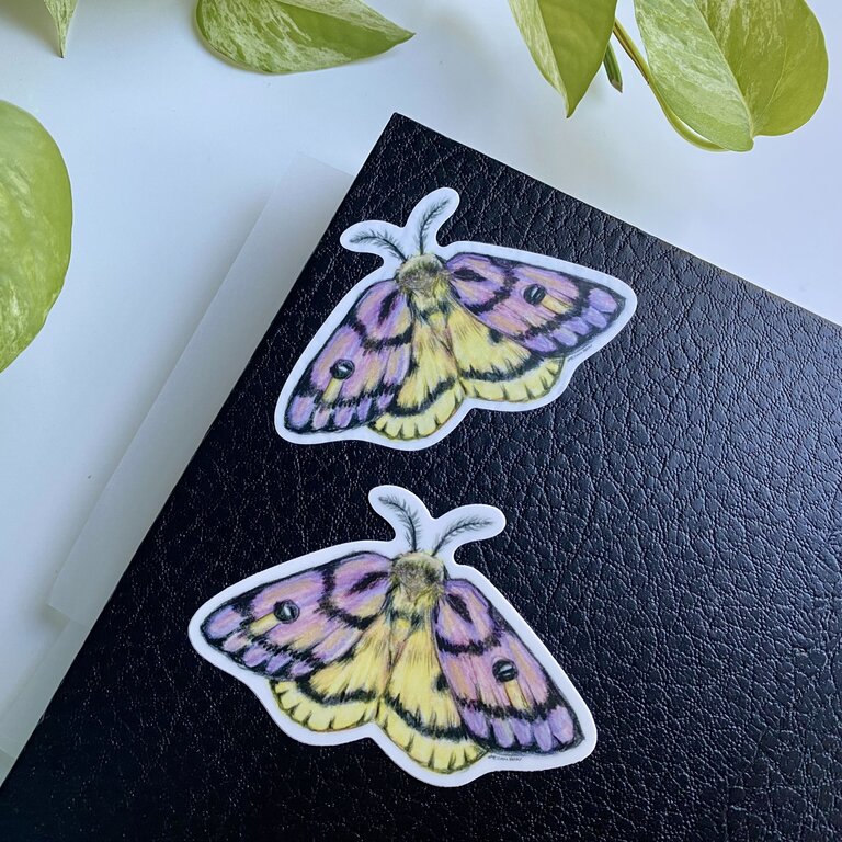 Megan Bray Sticker