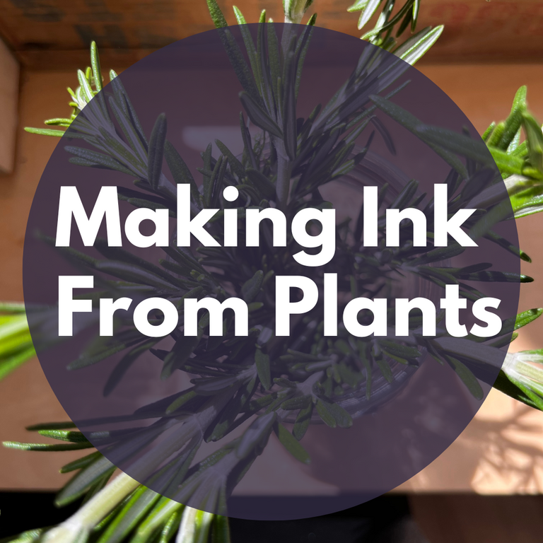 Making Ink from Plants