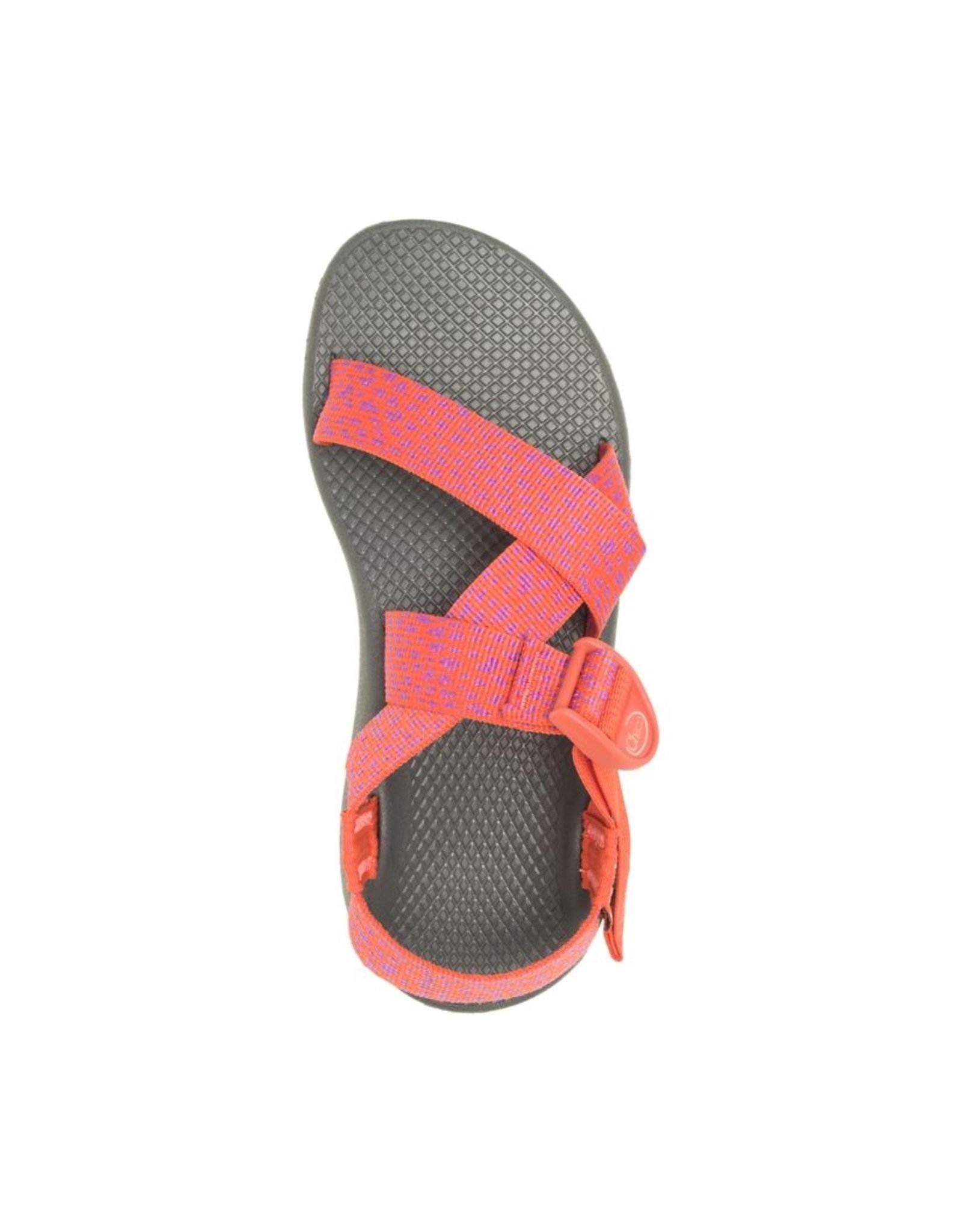 Chaco womens Banded Z Cloud Sandal : : Clothing, Shoes &  Accessories