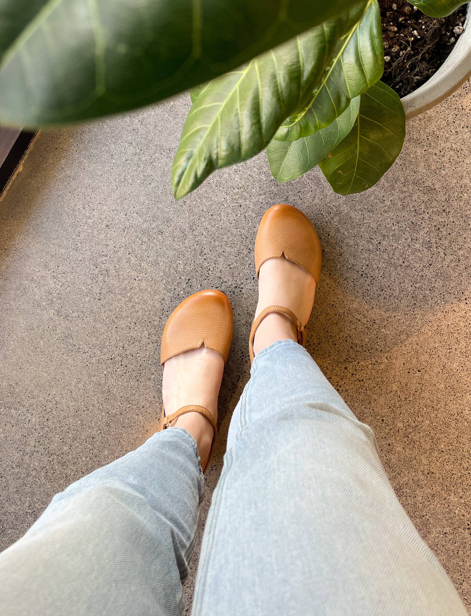 dansko-rowan-honey