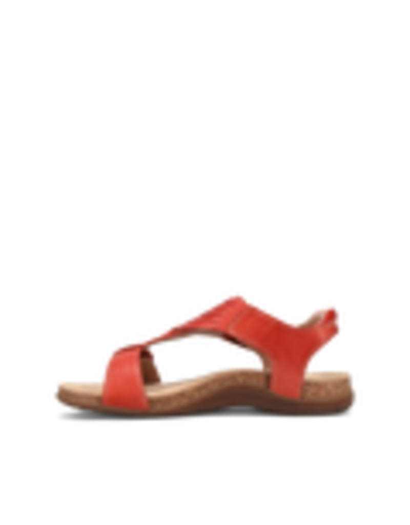 TAOS WOMEN'S WONDERFUL-BRUSCHETTA